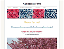 Tablet Screenshot of condzellasfarm.com